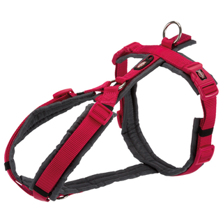 Premium spårsele, M: 53-64 cm/20 mm, fuchsia/grafit