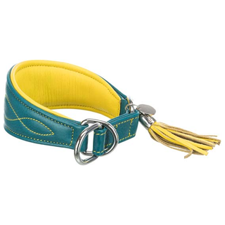 Active Comfort halsband för vinthund, XS-S: 24-31 cm/50 mm, petrol