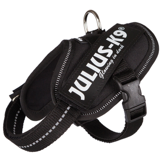 Julius-K9® IDC sele, Baby 2/XS-S: 33-45 cm/18 mm, svart