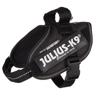 Julius-K9® IDC sele, Mini-Mini/S: 40-53 cm/22 mm, svart