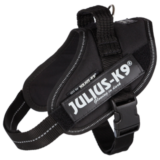 Julius-K9® IDC sele, Mini/M: 49-67 cm/22 mm, svart