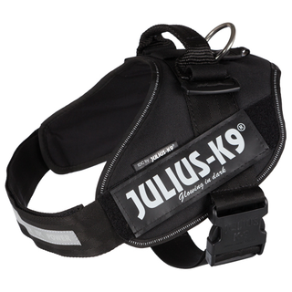 Julius-K9® IDC sele, 2/L-XL: 71-96 cm/50 mm, svart