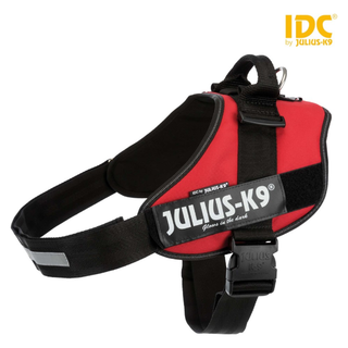 Julius-K9® IDC sele, 4/XL: 96-138 cm/50 mm, röd