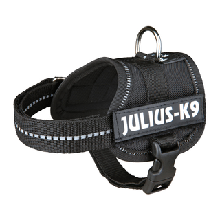 Julius-K9® Powersele, Baby 1/3XS: 26-36 cm, svart