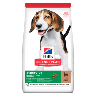 Hills Puppy MED Lamb&Rice 12kg