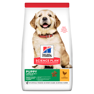 Hills Puppy LB Chicken 12kg