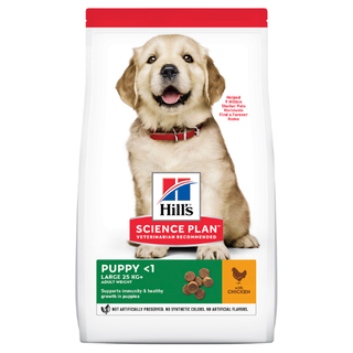 Hills Puppy LB Chicken 14.5kg