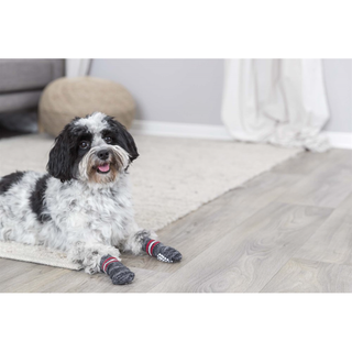 Hundsockar non-slip 2-pack, XS-S, grå