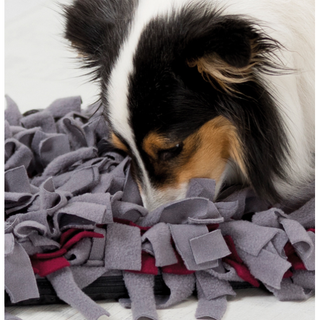 Dog Activity "Sniffing Carpet", Nivå 1, 50 × 34 cm