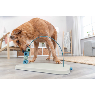 Dog Activity Skills Loop, Nivå 4, plast/metall, 43 cm