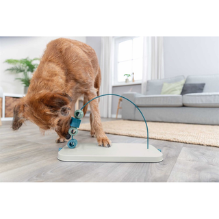 Dog Activity Skills Loop, Nivå 4, plast/metall, 43 cm