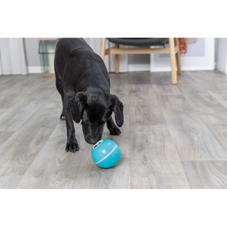 Snacksboll, plast, ø 7.5 cm, blå