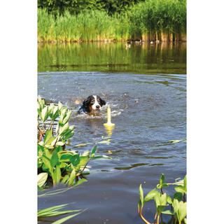 Dog Activity Mot-Aqua, flytande, 29 cm