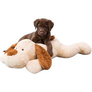 Hund soft, plysch, 75 cm, beige/brun