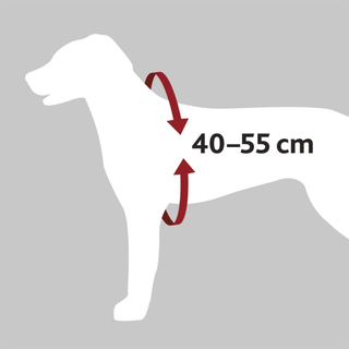 Bilsele Dog Protect, S/M: 40-55 cm/17 mm, svart (ny karbin)