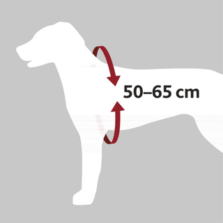 Bilsele Dog Protect, M: 50-65 cm/20 mm, svart (ny karbin)