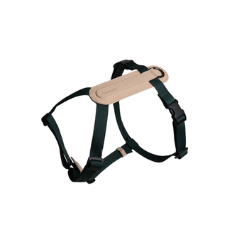 Arch Harness Masimalo Natural/Pine