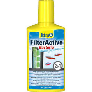 FilterActive Bakterier