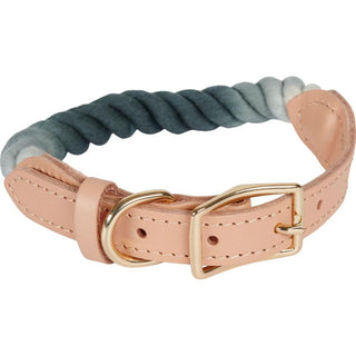 Companion Combi-rep hundhalsband