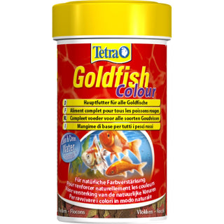 Tetra Goldfish Color