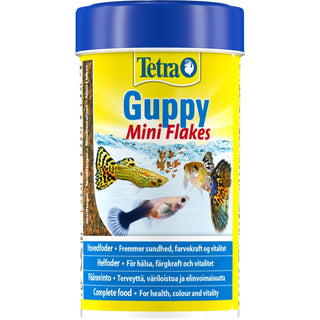 Tetra guppy