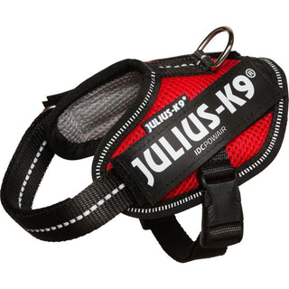 Julius-K9 IDC POWAIR sele, 29-36 cm