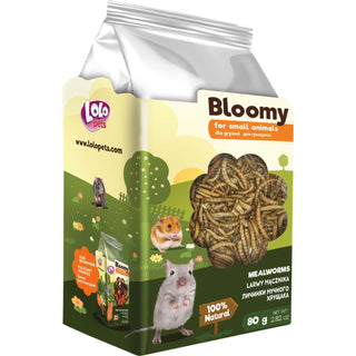 Bloomy Mealworm larver för gnagare