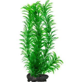 DecoArt Plant Gr. Cabomba