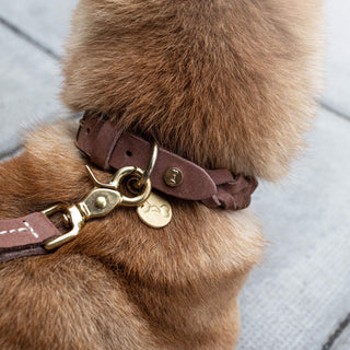 Stockholm Hundhalsband Hazel