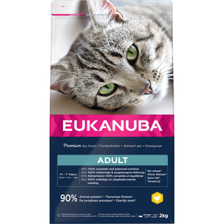 Eukanuba Cat Adult Chicken